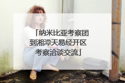 纳米比亚考察团到湘潭天易经开区考察洽谈交流